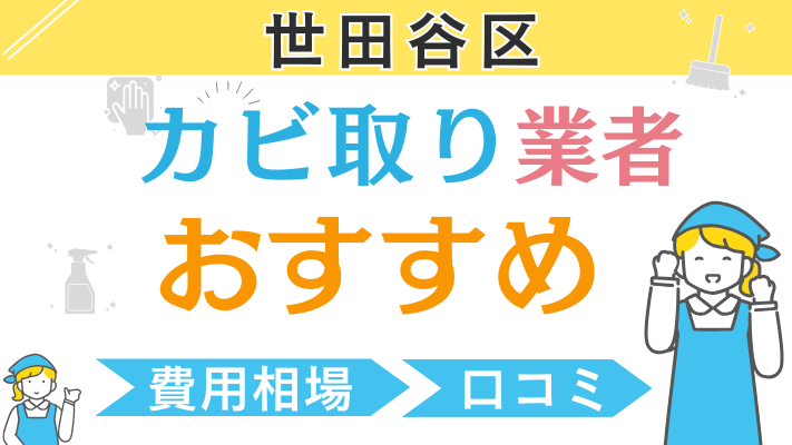 世田谷区のおすすめカビ取り業者ランキング6選！費用相場や口コミを徹底解説