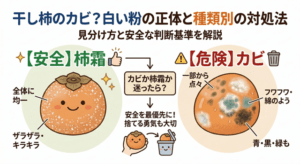 干し柿のカビはもう怖くない。見分け方から予防法までわかる完全ガイド