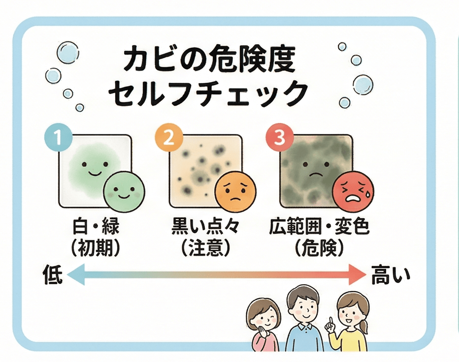 そのカビ、大丈夫?色や広がりで見る危険度の目安