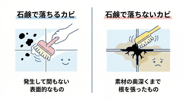 石鹸で落ちるカビと落ちないカビの見分け方