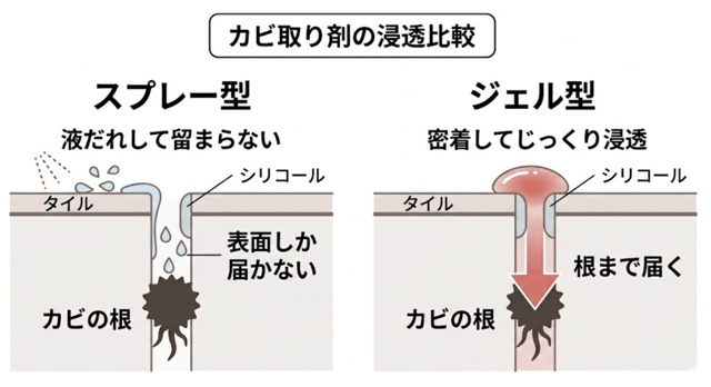 カビ取り剤の浸透比較
