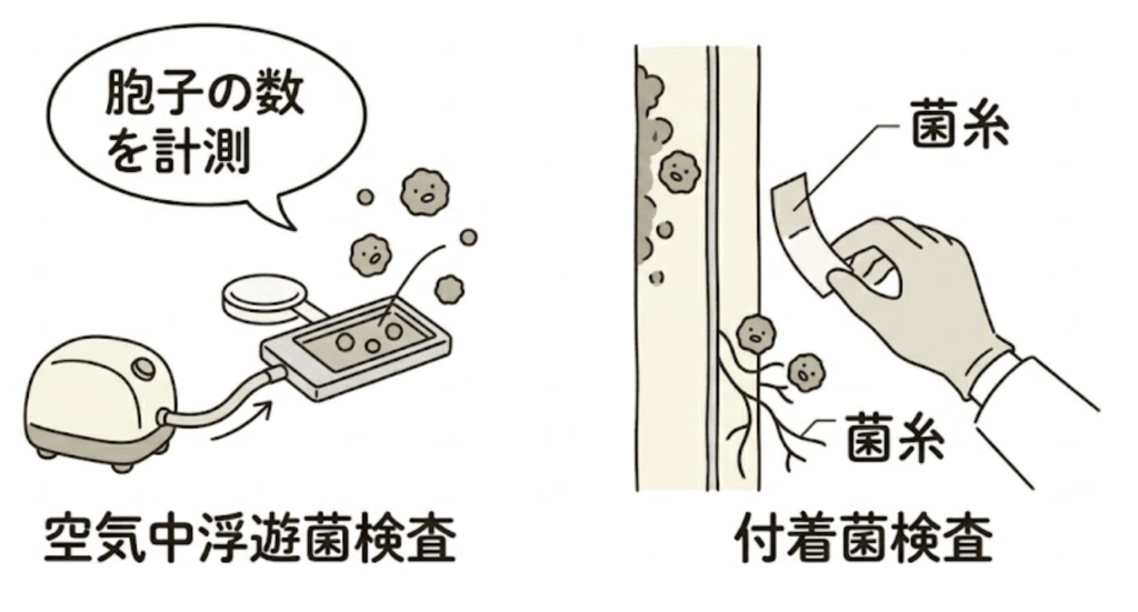 カビ調査の方法