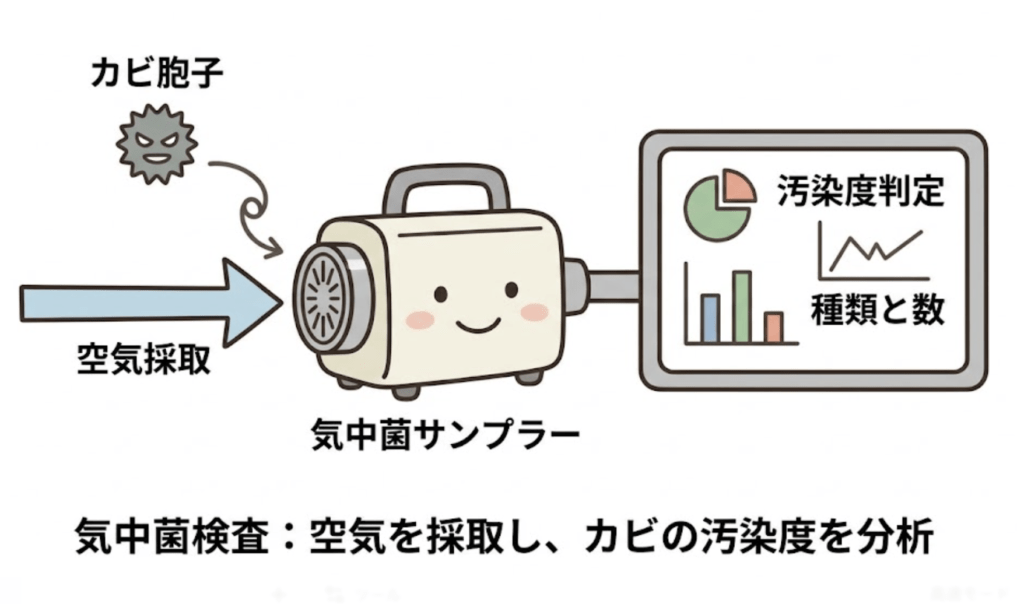 気中菌検査