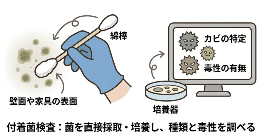 付着菌検査