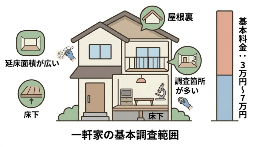 一軒家・室内