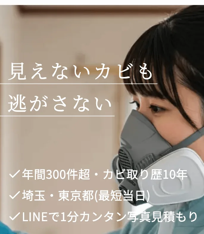 カビ取りキング 見えないカビも逃がさない